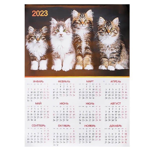 Календарь на 2025 год с котиками